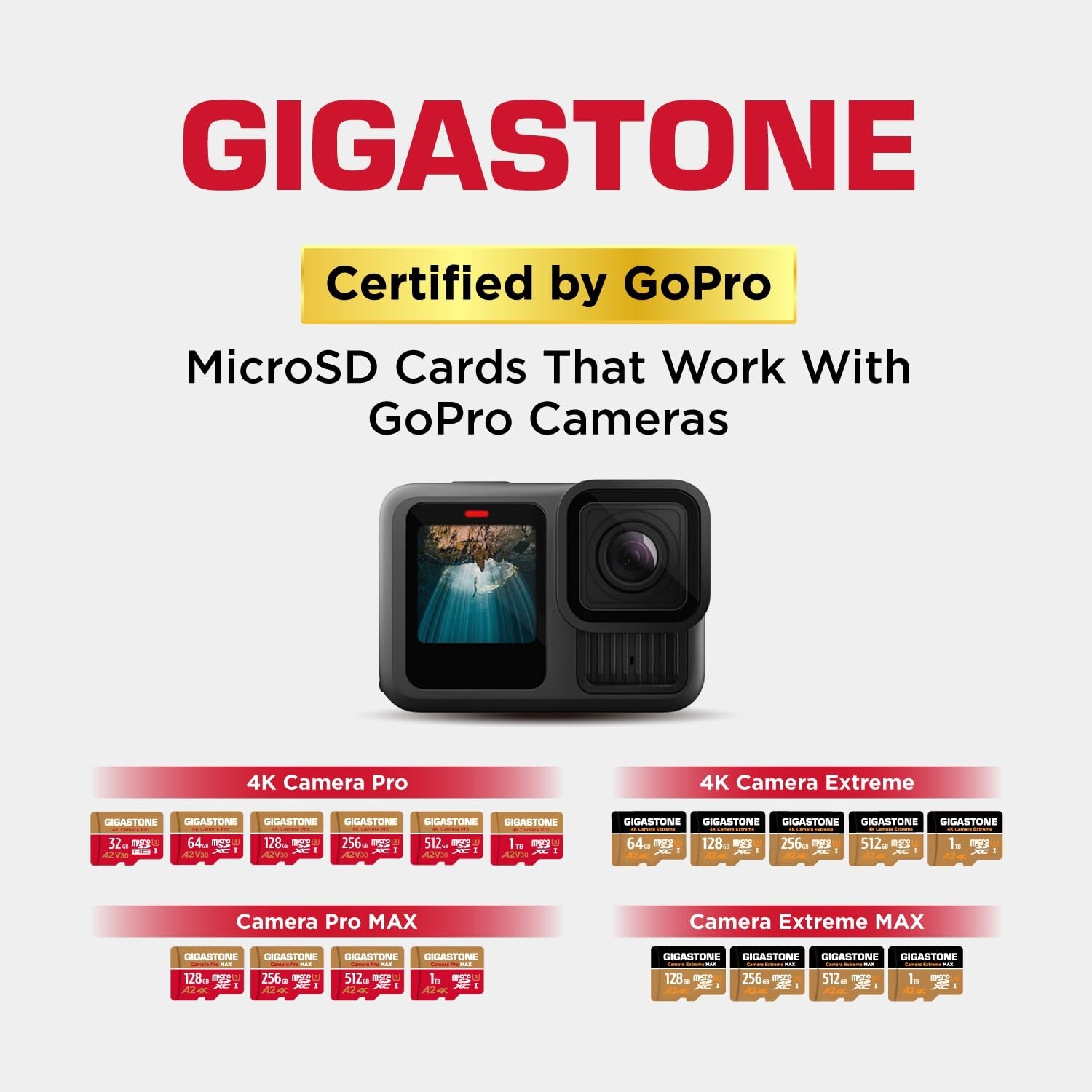 [5-Yrs Free Data Recovery] GIGASTONE 512GB Micro SD Card with USB 3.2 Type C …