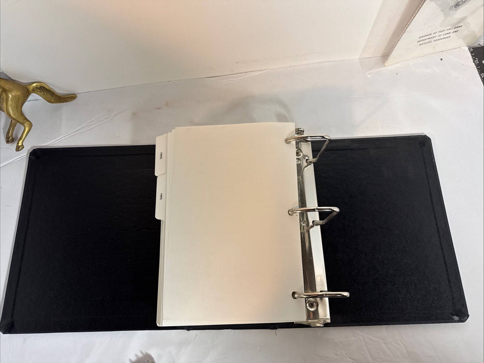 Representing The Elderly Client 2001 Binder W/diskette.