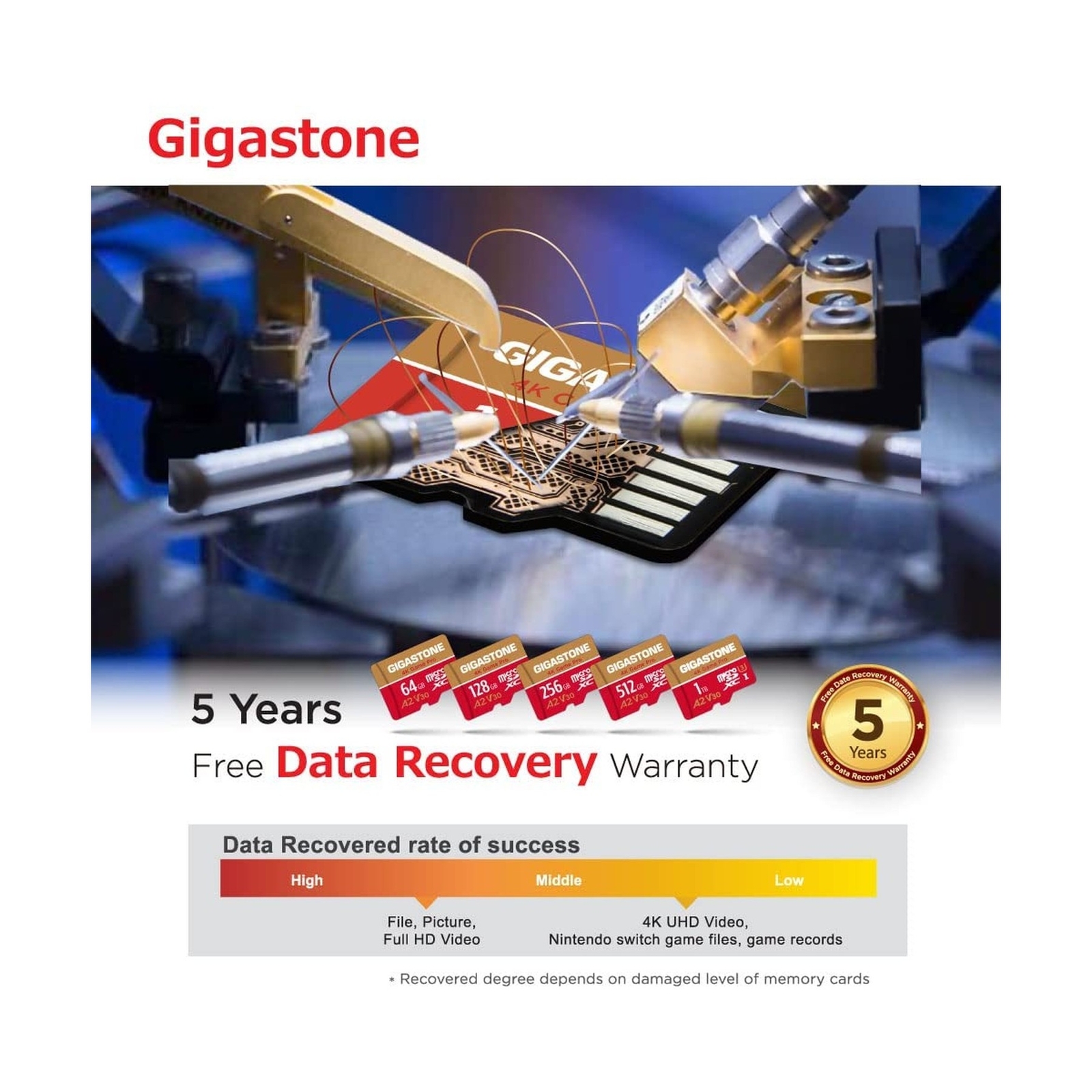[5-Yrs Free Data Recovery] GIGASTONE 256GB 2-Pack Micro SD Card, 4K Game Pro,…