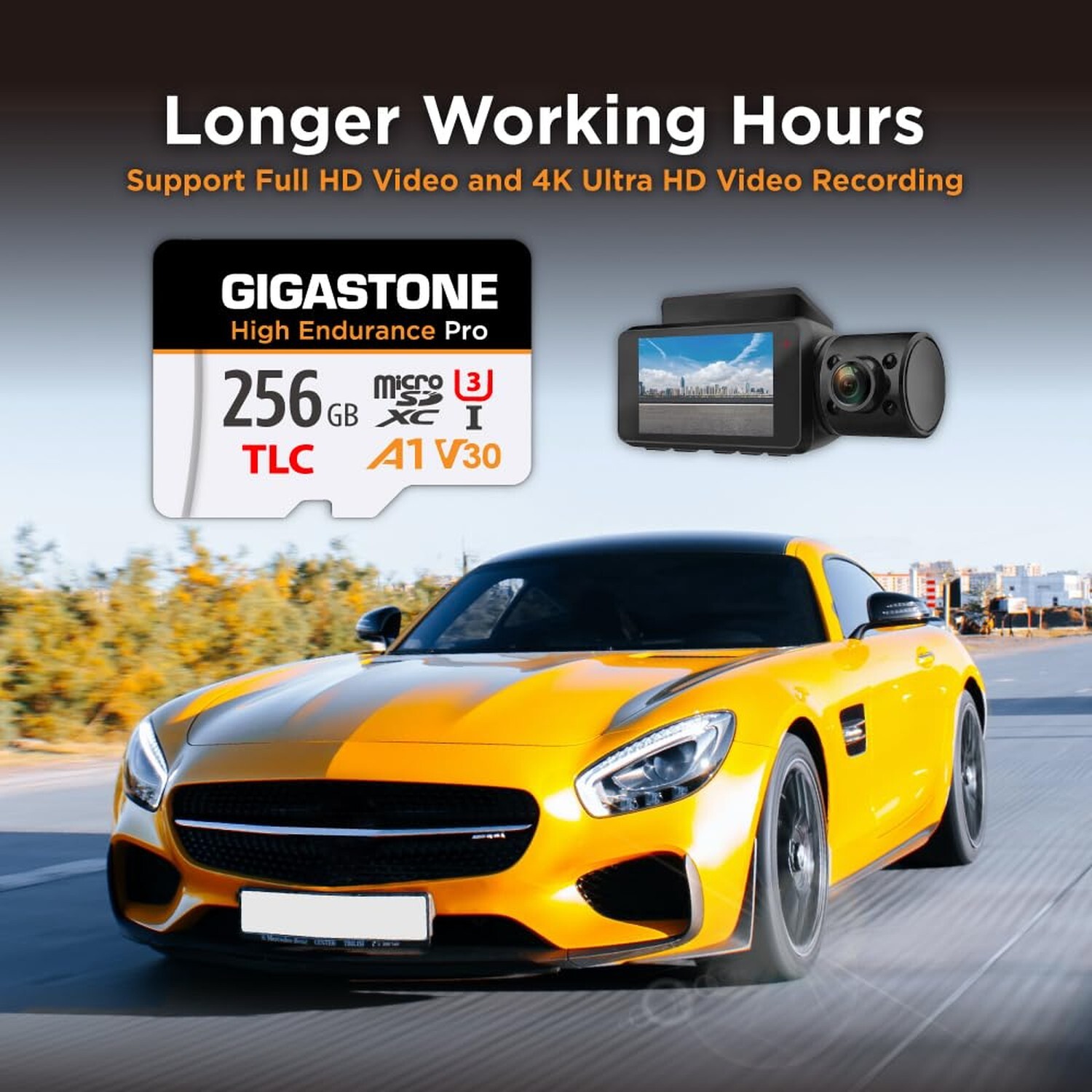 [5-Yrs Free Data Recovery] GIGASTONE 256GB Micro SD Card, High Endurance Pro …